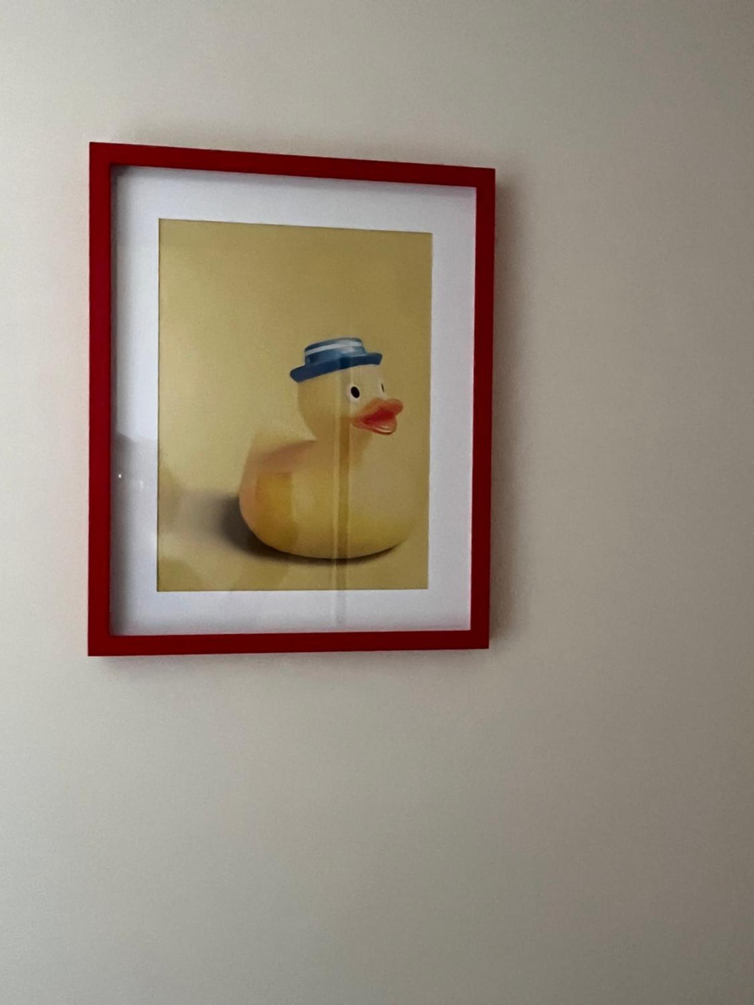 罗马Duck House Gemelli公寓 外观 照片